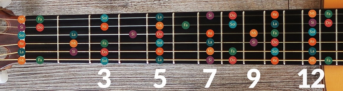 La Guitare en 3 Jours © - notes sur le manche